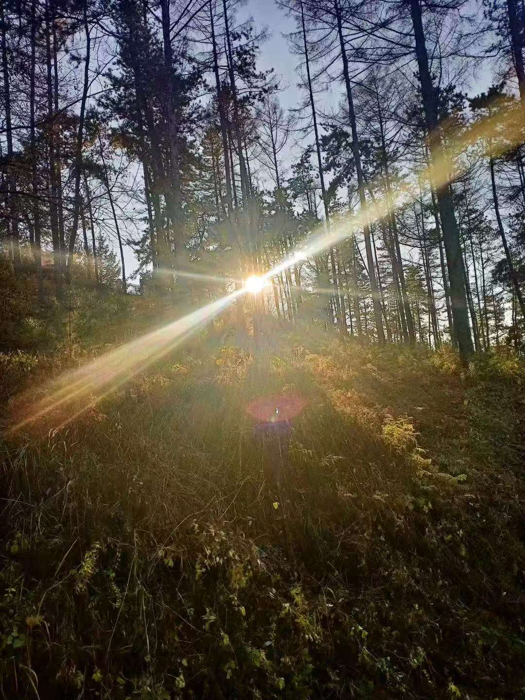 微信图片_20251029114500_311_238.jpg 微信图片_20251029114500_311_238.jpg