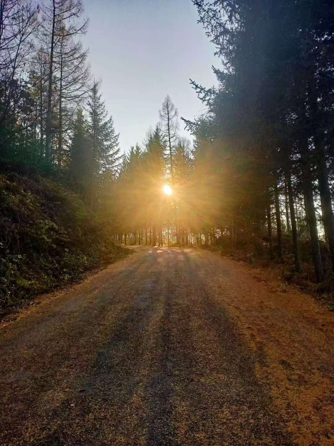 微信图片_20251029114513_313_238.jpg 微信图片_20251029114513_313_238.jpg