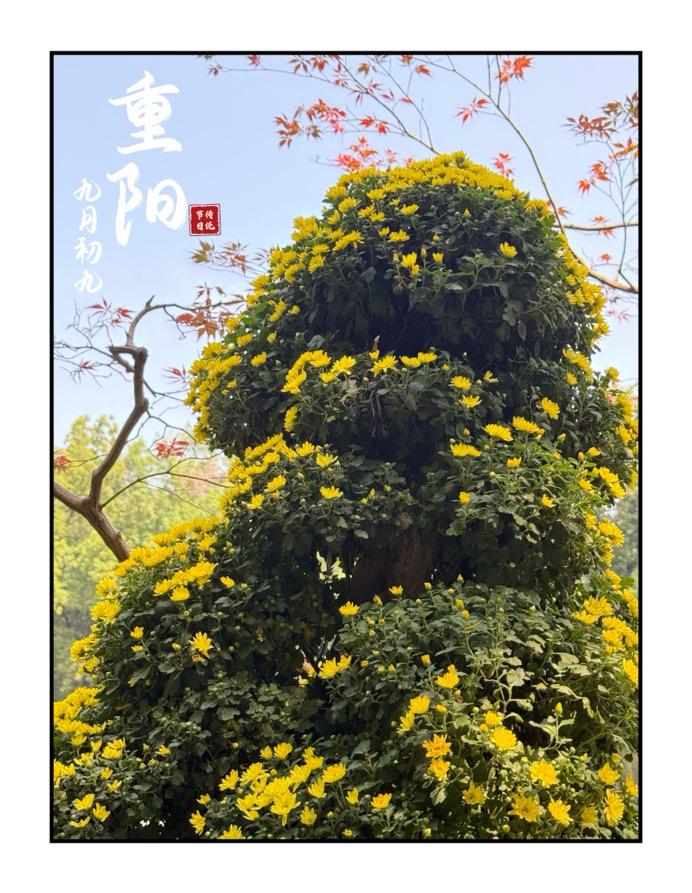 IMG_4088.jpeg IMG_4088.jpeg