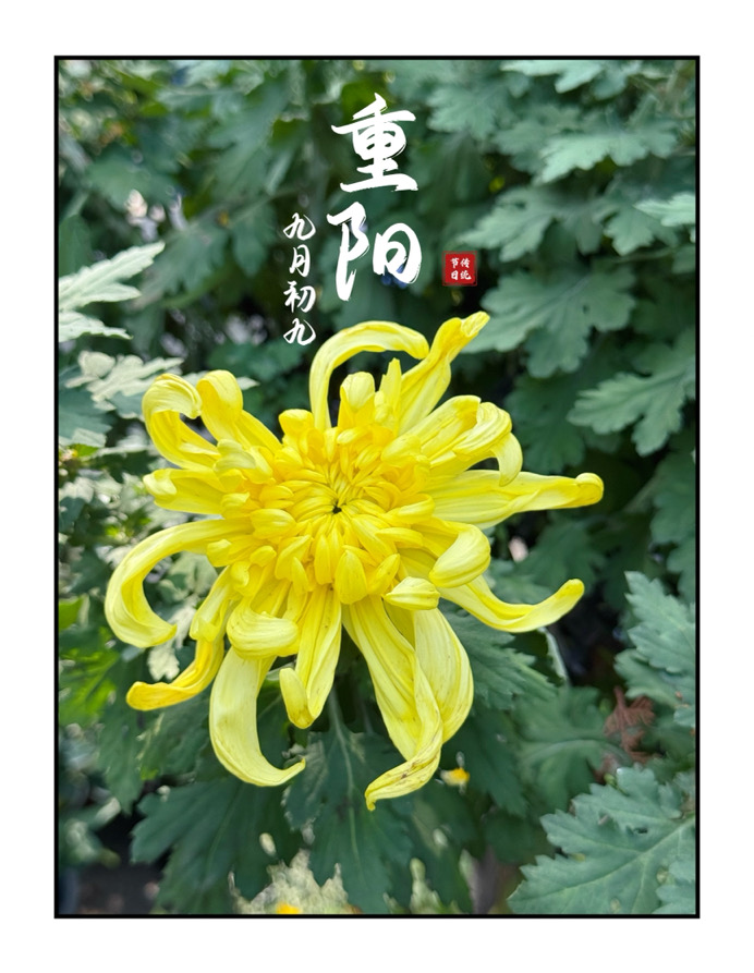 IMG_4089.jpeg IMG_4089.jpeg