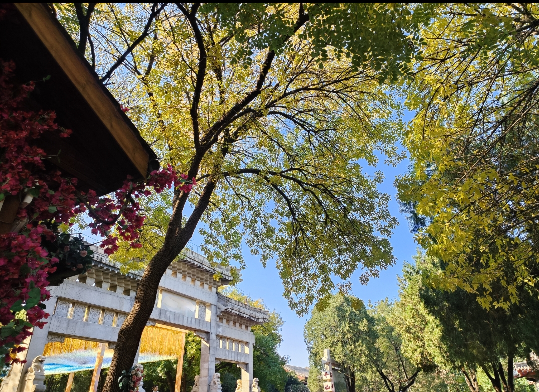 IMG_20251029_123633.jpg IMG_20251029_123633.jpg