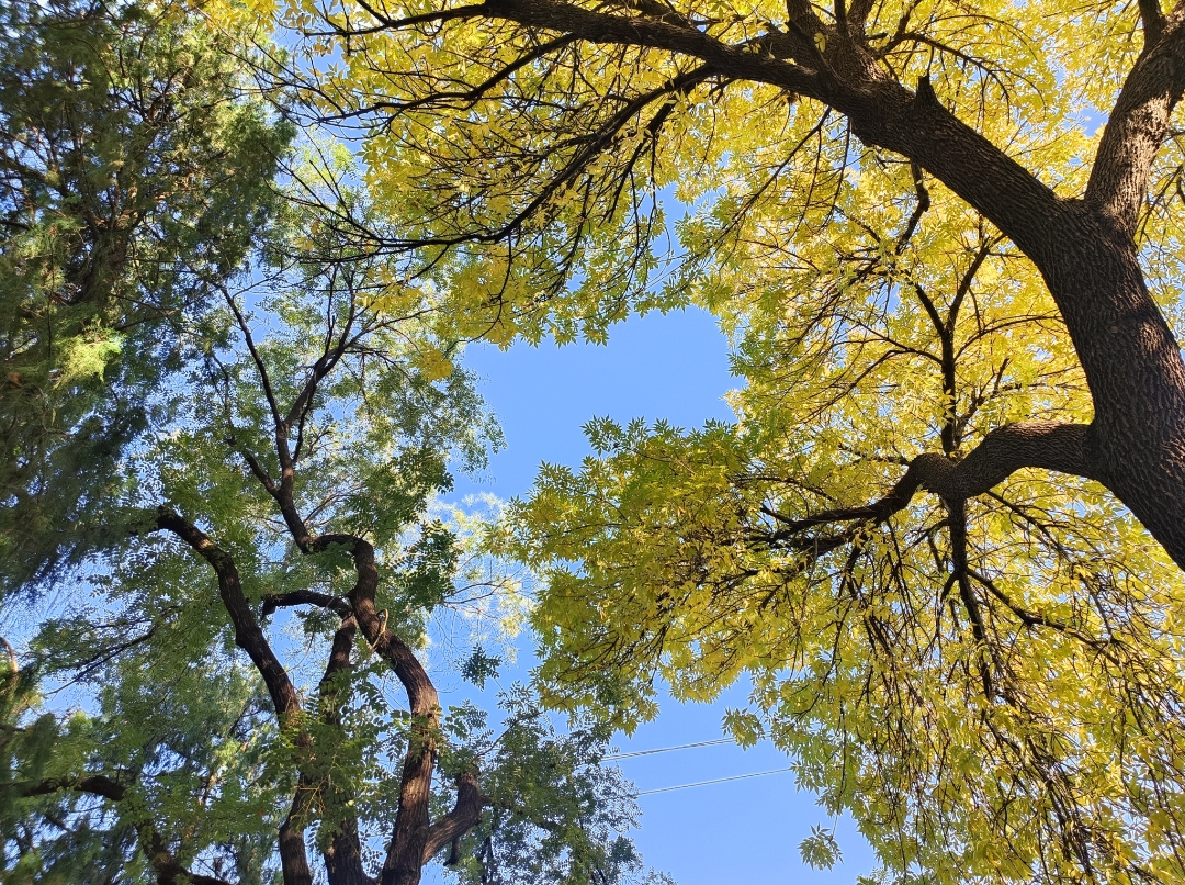 Screenshot_2025-10-29-12-35-17-59_99c04817c0de5652397fc8b56c3b3817.jpg Screenshot_2025-10-29-12-35-17-59_99c04817c0de5652397fc8b56c3b3817.jpg