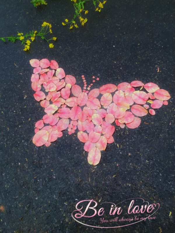 3D8BDC0F-3C44-48F4-B317-CEC479F33F24.jpeg 3D8BDC0F-3C44-48F4-B317-CEC479F33F24.jpeg