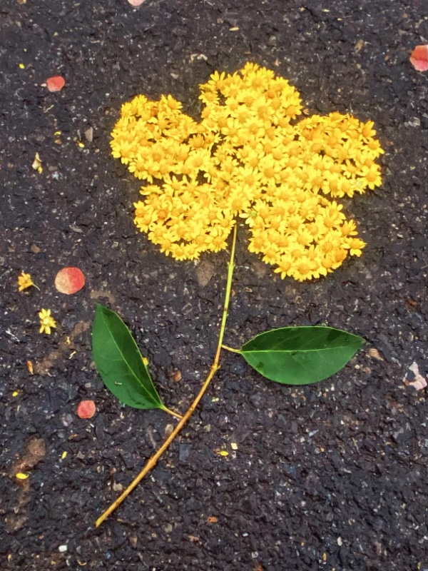 E0ECD54B-8E37-40AC-BDBB-612C0DCDC86F.jpeg E0ECD54B-8E37-40AC-BDBB-612C0DCDC86F.jpeg