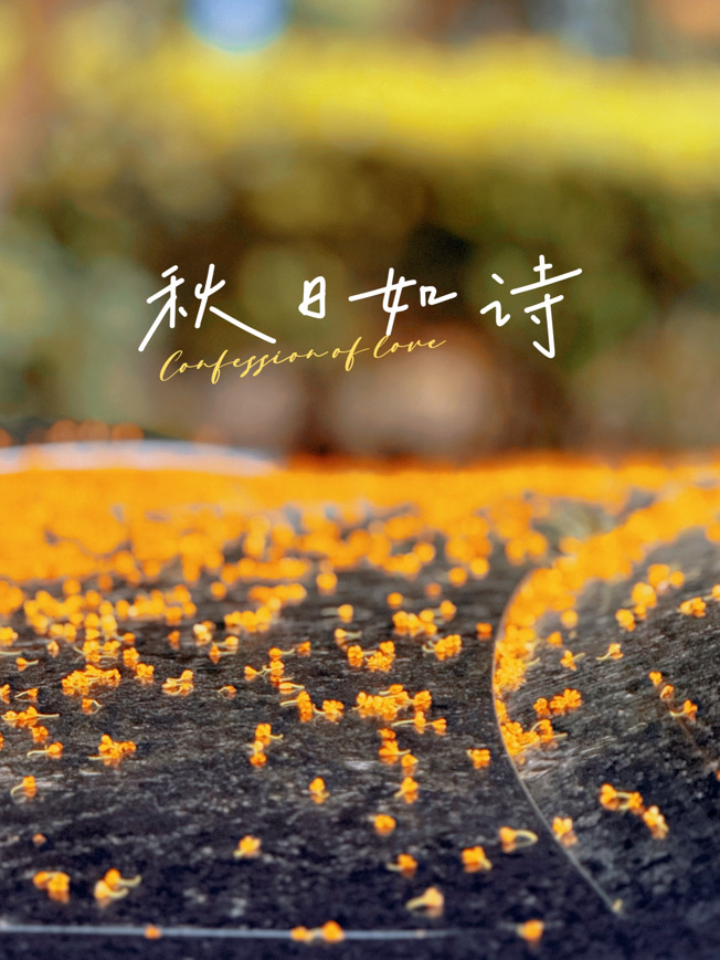 IMG_4169.jpeg IMG_4169.jpeg