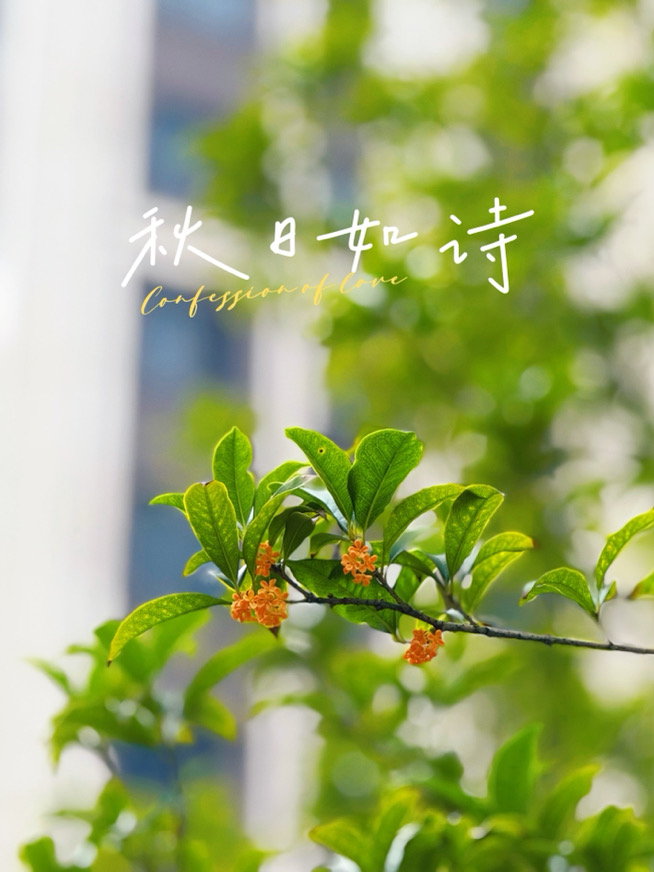 IMG_4170.jpeg IMG_4170.jpeg