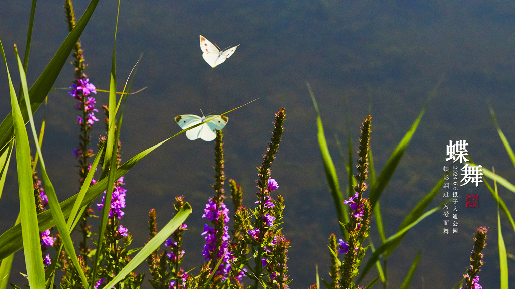 2017�ɻ� 166.jpg