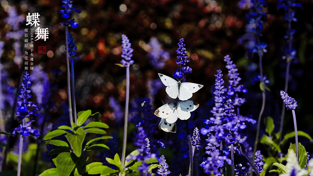 ����2014�ڶ���50d 26.jpg