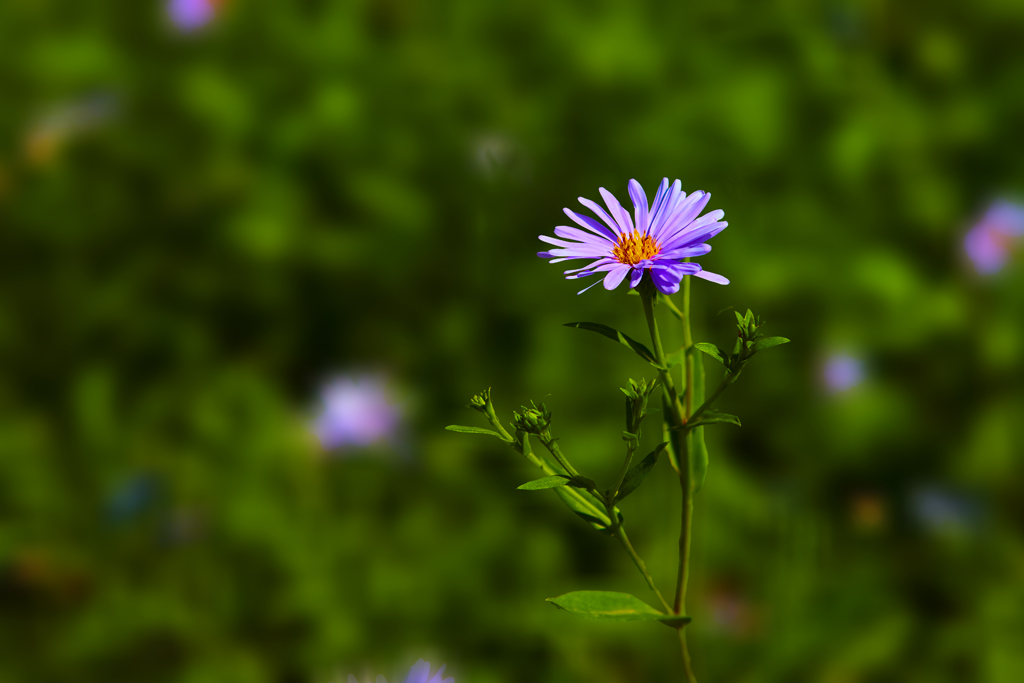 ��̶��2025 6.jpg