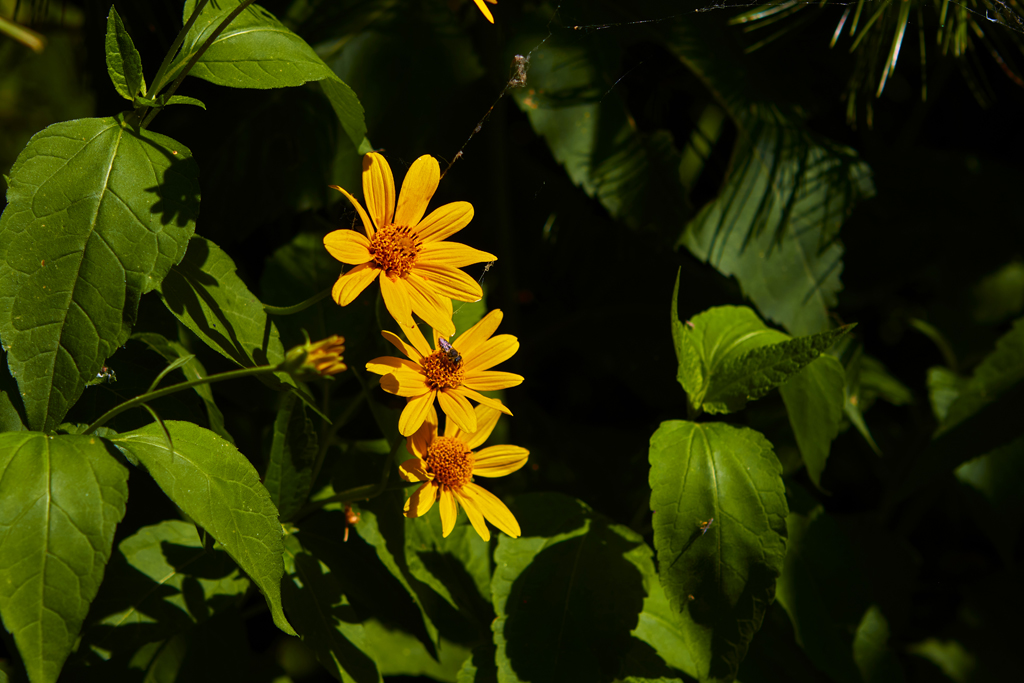 ��̶��2025 12.jpg