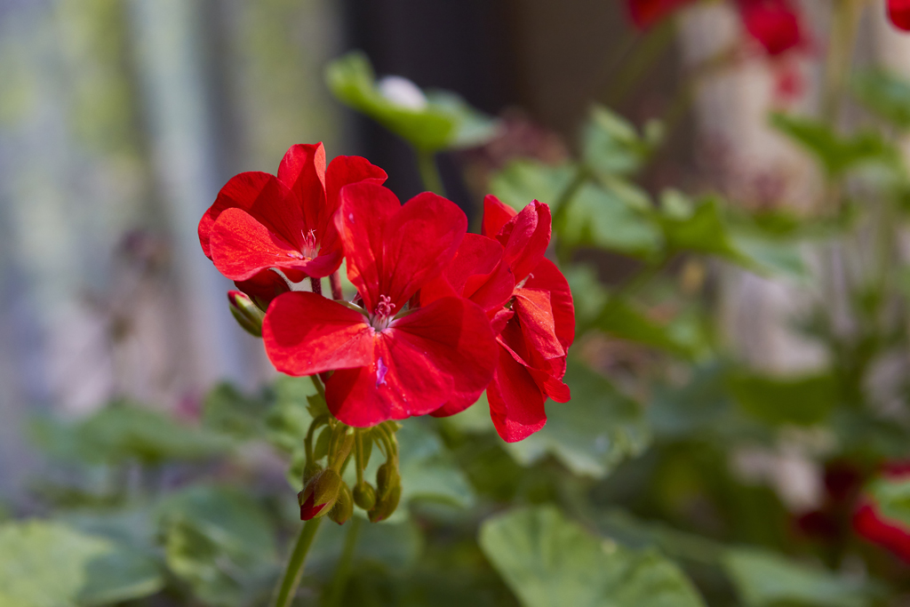 ��̶��2025 24.jpg