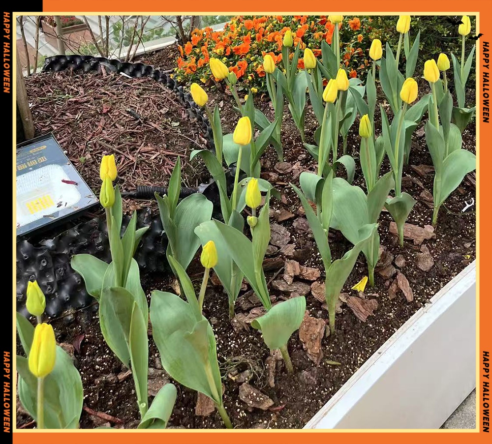 ΢ͼƬ_20250520100318 - _.jpg