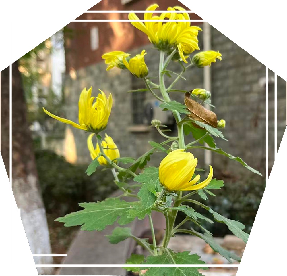 ΢ͼƬ_20251126215421 - _.jpg