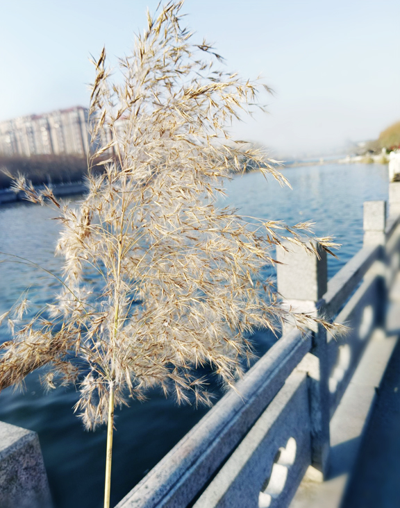 EC03B41C7CBD592D6732BD764E21C4E8 ��������.jpg