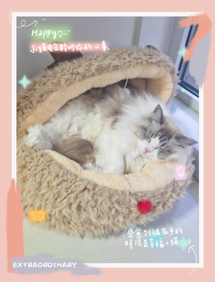 MEITU_20260101_140815106.jpg