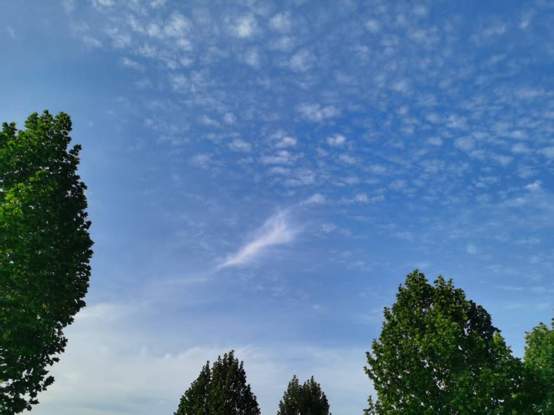 ΢��ͼƬ_20260501214854_292_2.jpg
