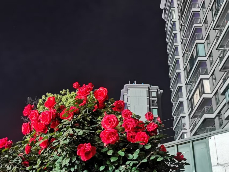 ΢��ͼƬ_20260502091844_305_2.jpg