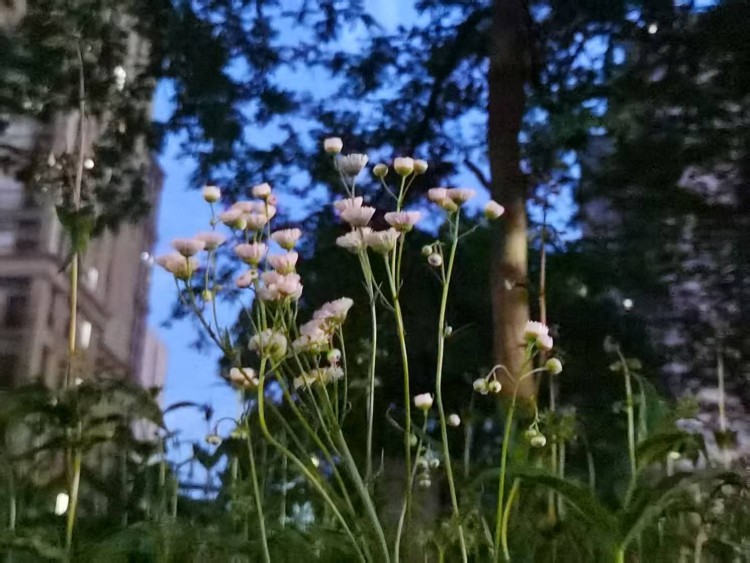 ΢��ͼƬ_20260502092639_310_2.jpg