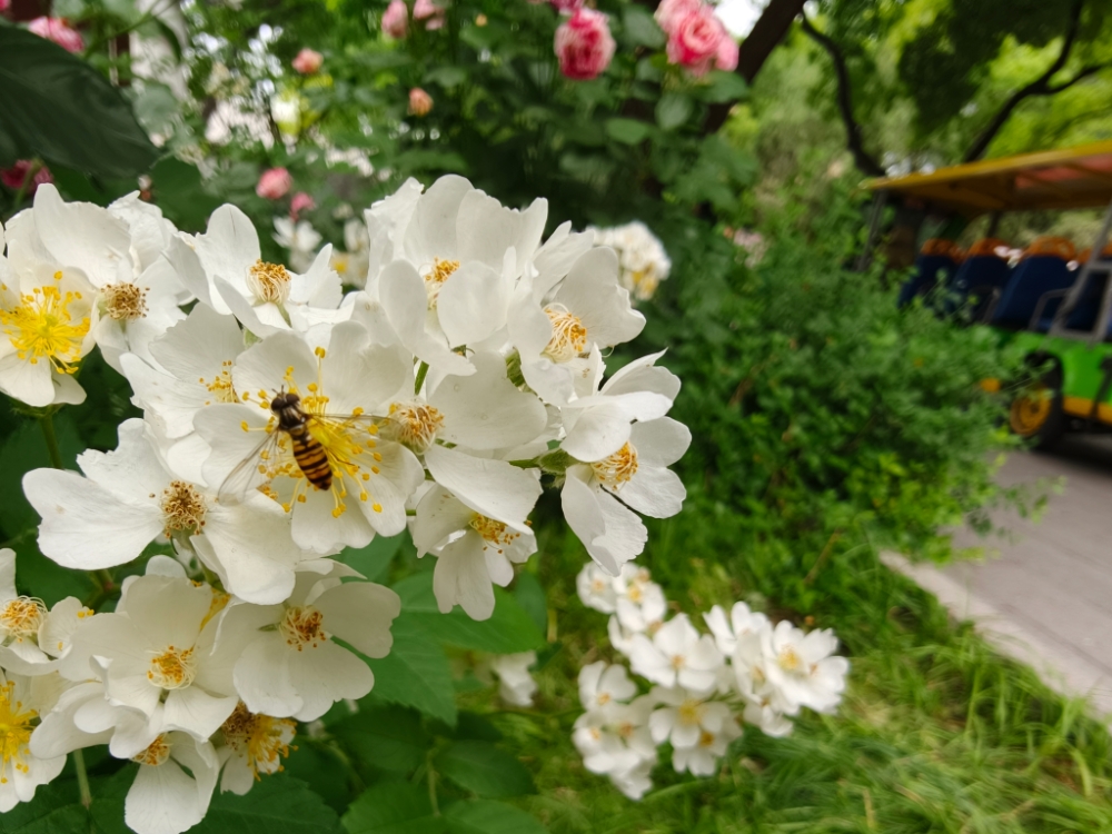 MEITU_20260502_121135617.jpg