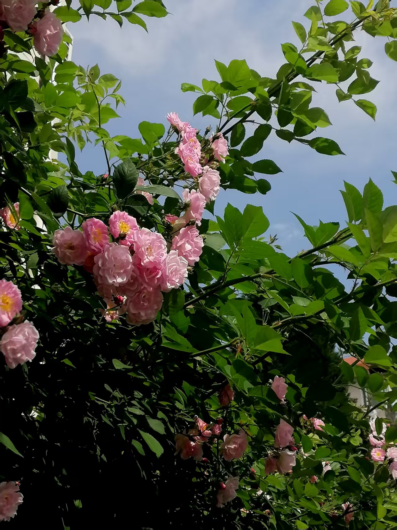 ΢��ͼƬ_20260429075038.jpg