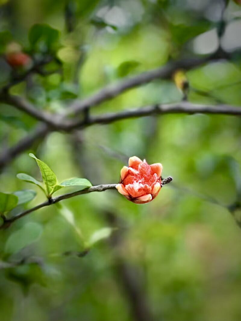IMG_1507.jpeg