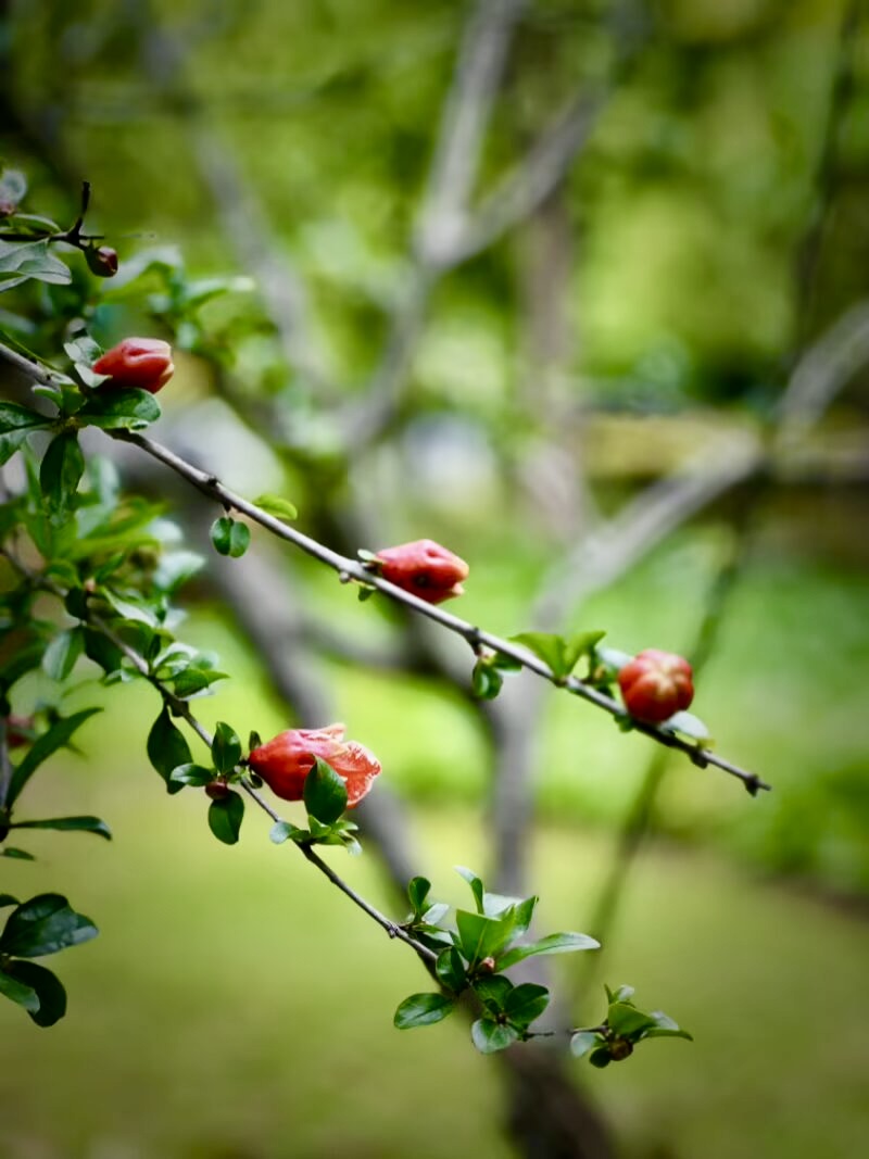 IMG_1508.jpeg