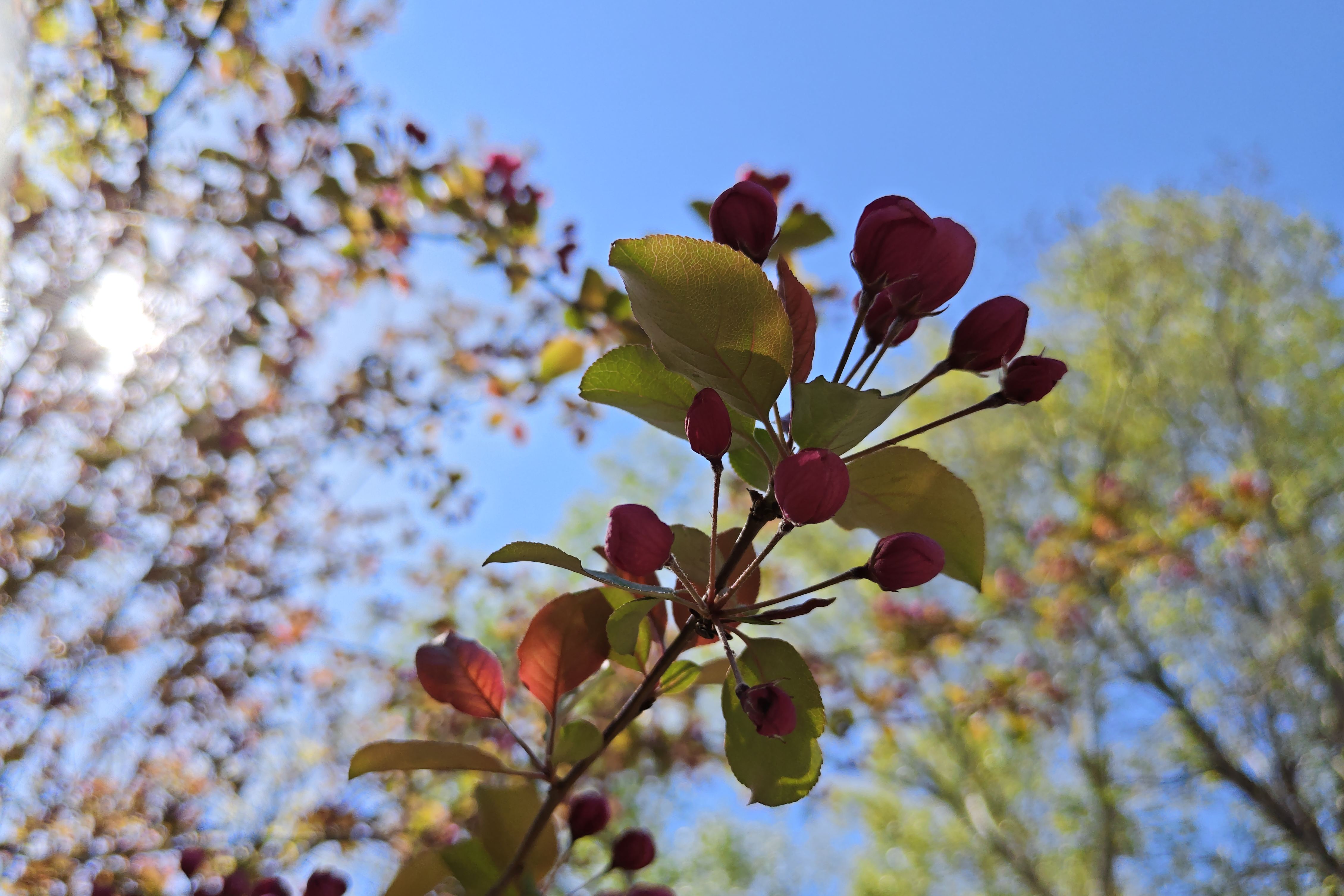 IMG_20260504_171037.jpg