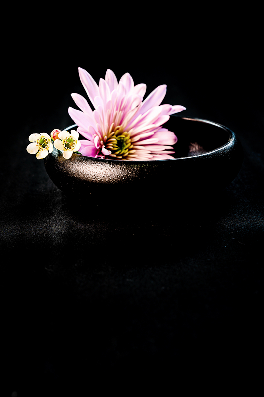 5K7A0225.jpg