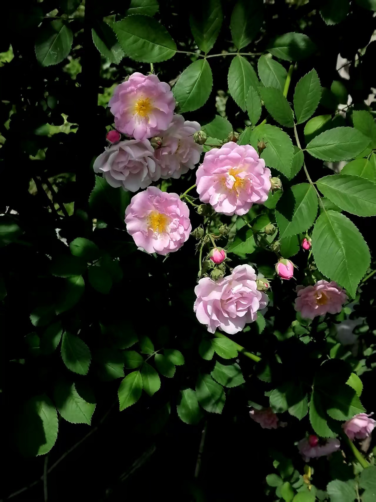 ΢��ͼƬ_20260429075052.jpg