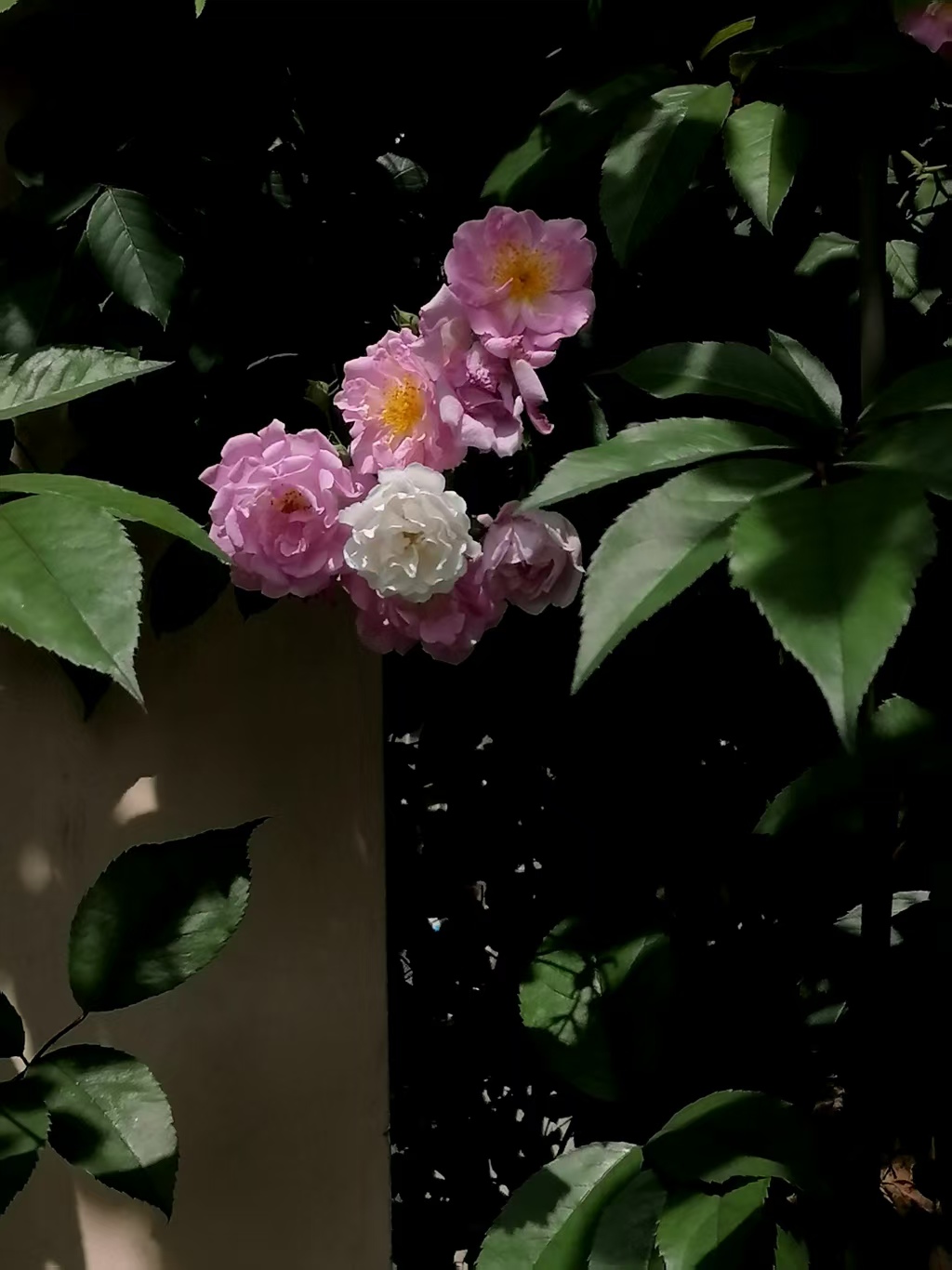 ΢��ͼƬ_20260429075056.jpg