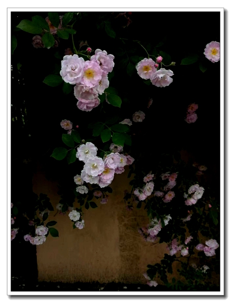 ΢��ͼƬ_20260503195114.jpg