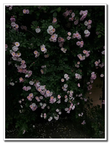 ΢��ͼƬ_20260503195205.jpg