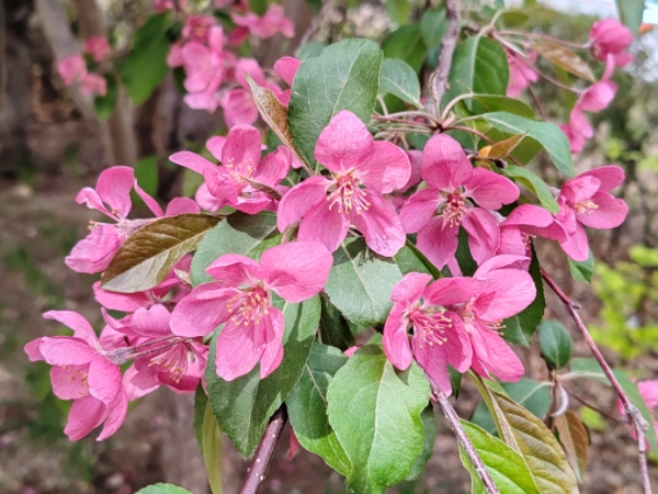 MEITU_20260506_072242055.jpg