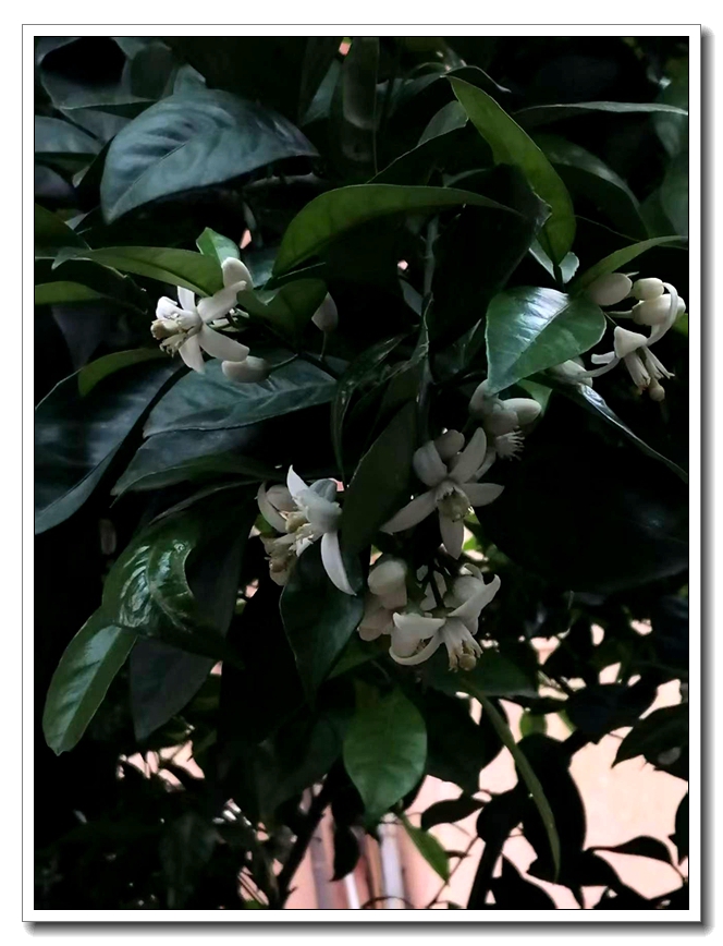 ΢��ͼƬ_20260503195234.jpg