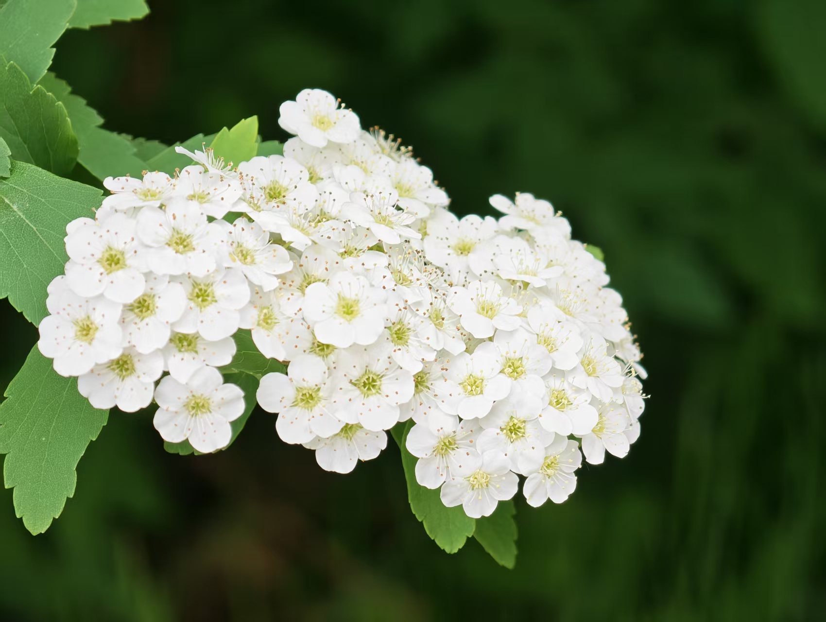 mmexport1777981720845.jpg