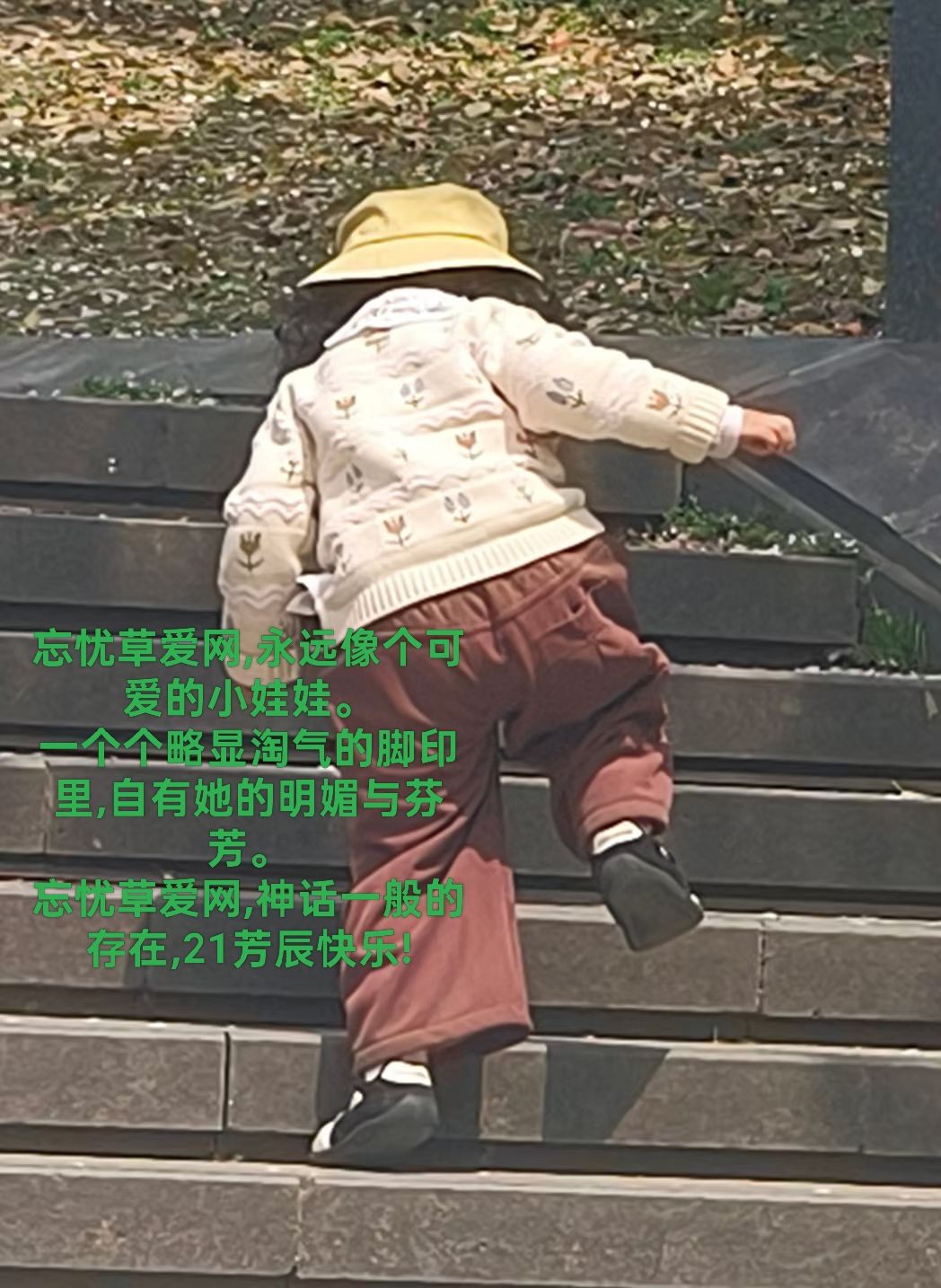IMG_20260506_134701.jpg