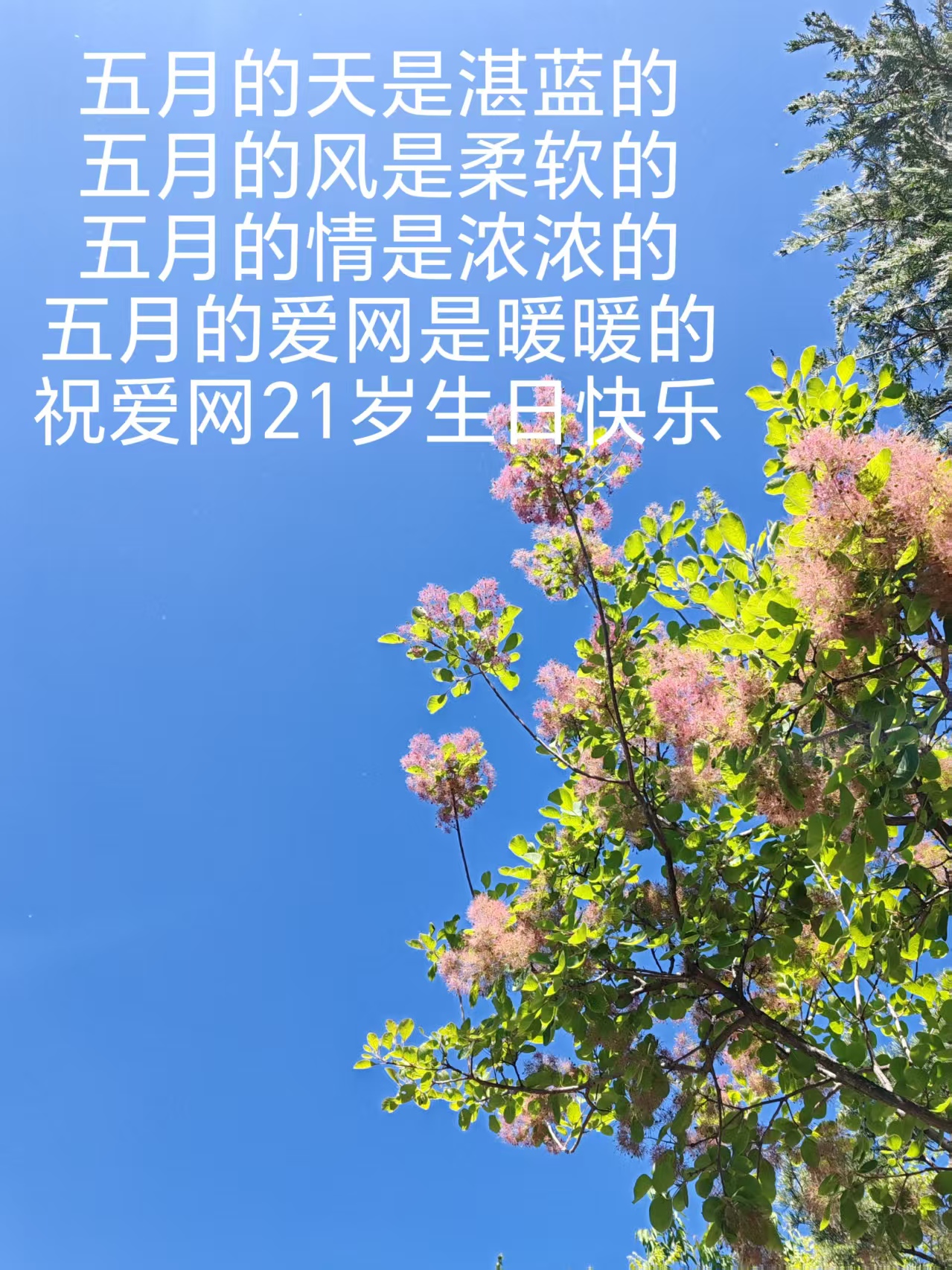 1000052860.jpg