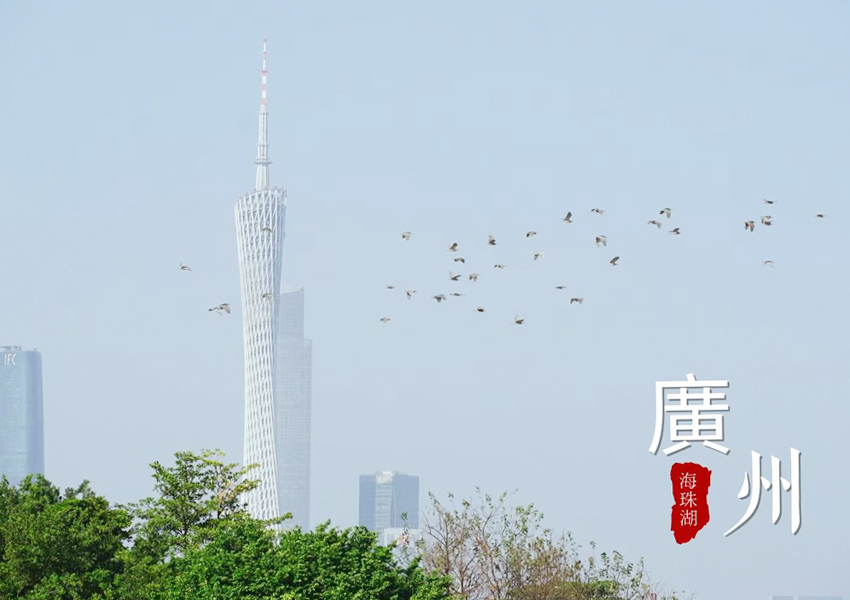 Image_1778323043840_605.jpg