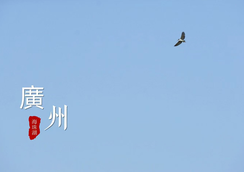 Image_1778323049276_913.jpg
