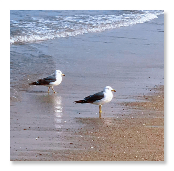 IMG_6877.jpeg
