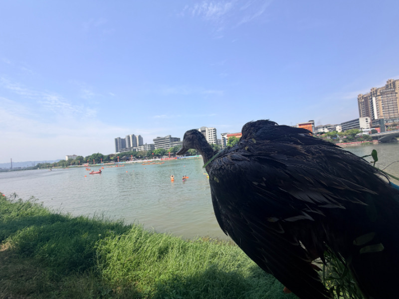 IMG_1070.jpeg