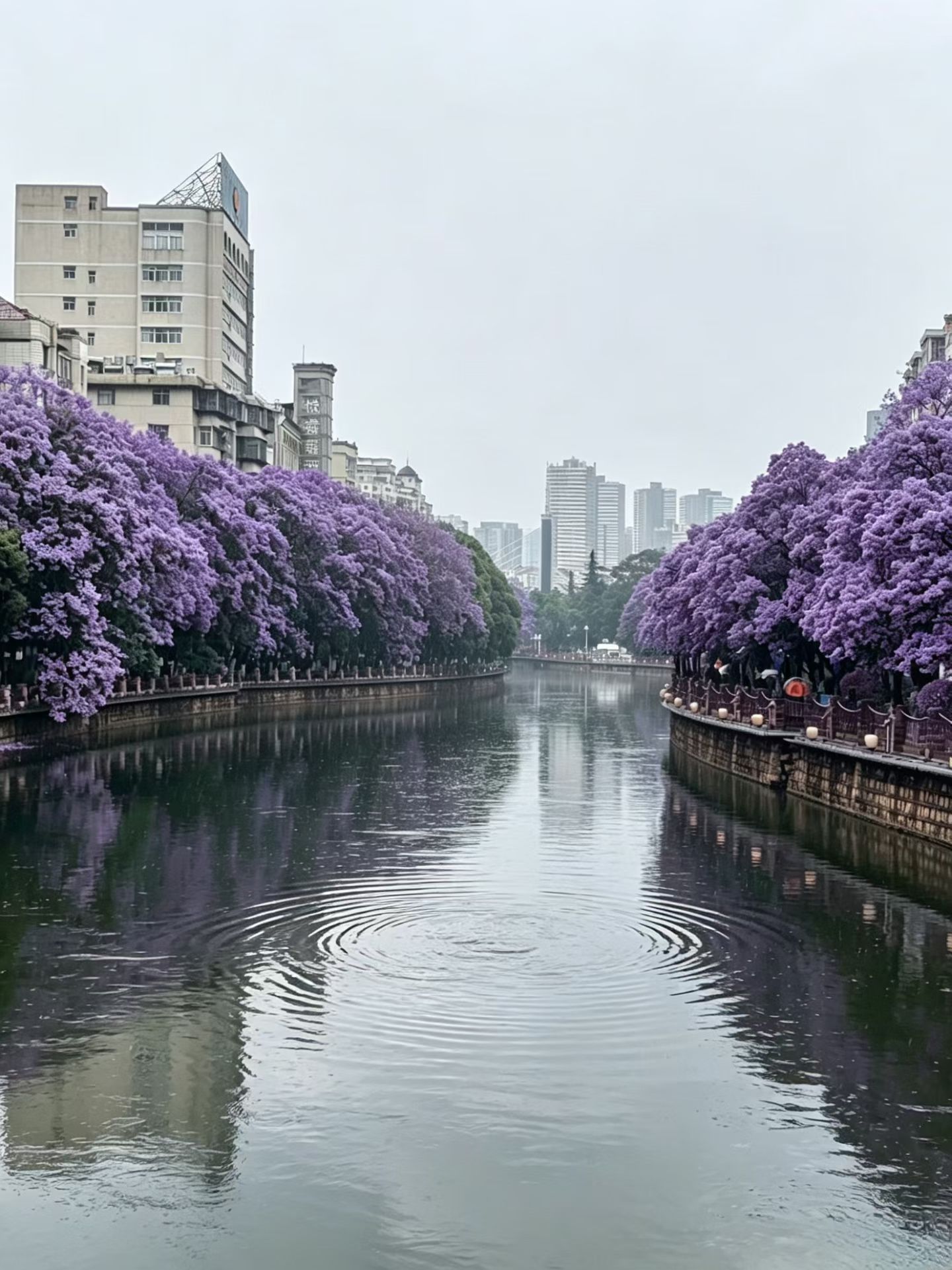 image_1778462860192.jpg
