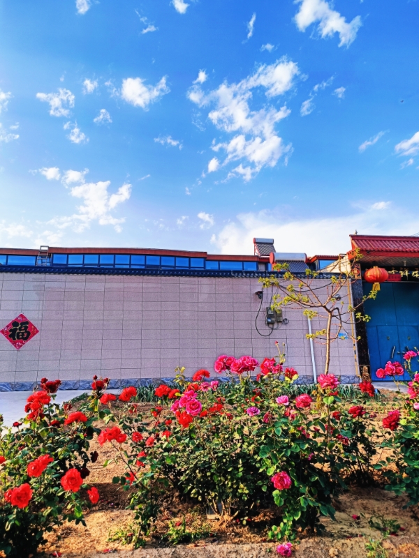 MEITU_20260512_075113788.jpg