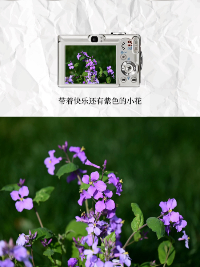 IMG_1222.jpeg