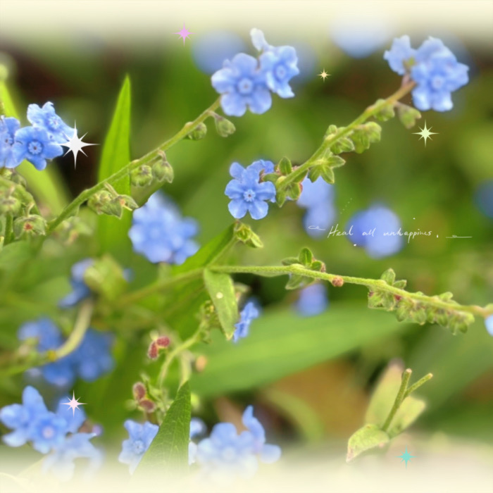 IMG_7014.jpeg