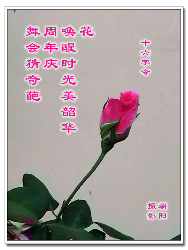 ΢��ͼƬ_20260509160500.jpg