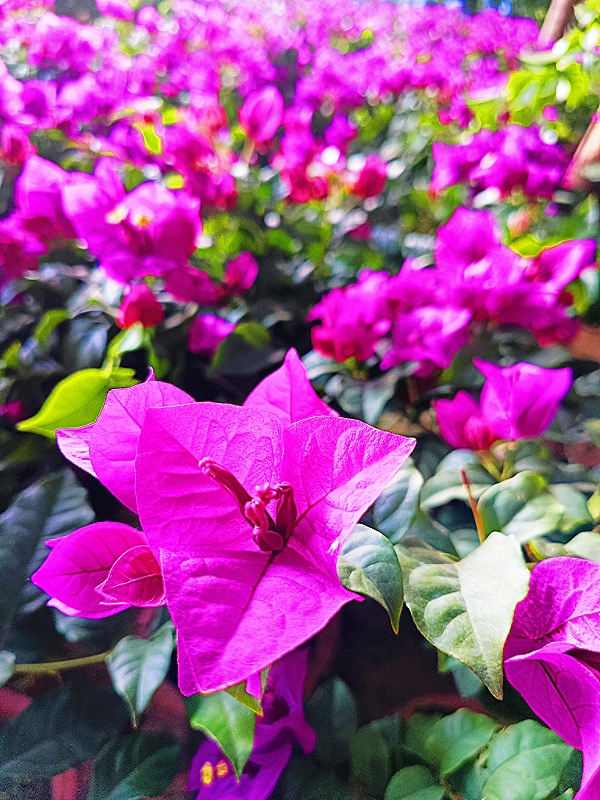 MEITU_20260513_152149773.jpg