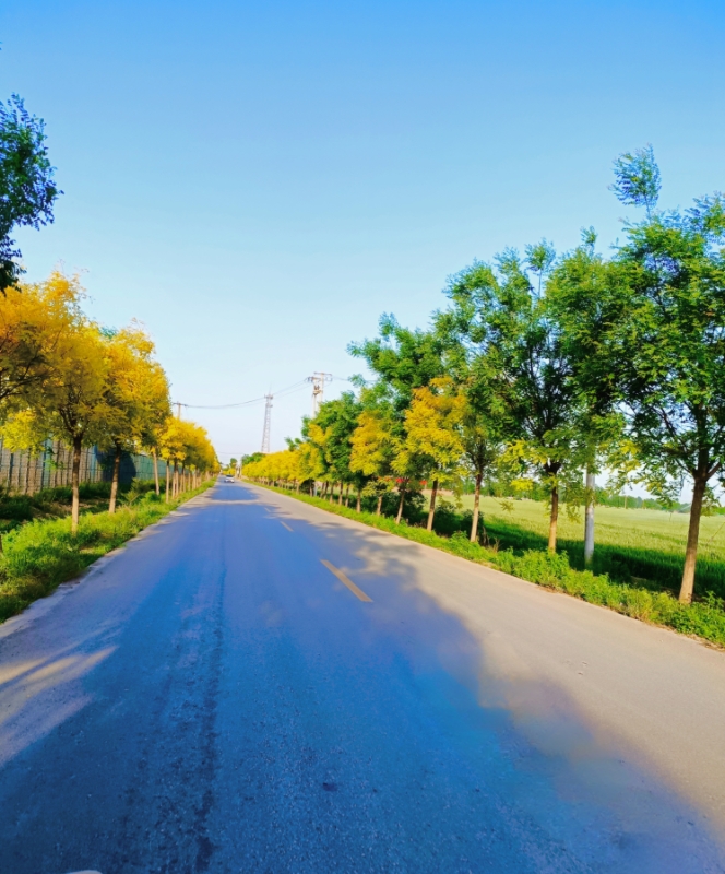 MEITU_20260514_090236730.jpg