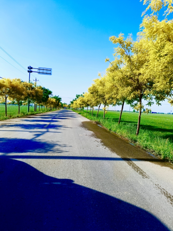 MEITU_20260514_090209637.jpg