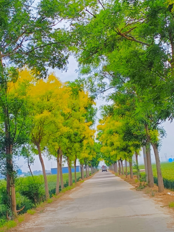 MEITU_20260514_090503595.jpg